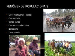 FENÔMENOS POPULACIONAIS
• Êxodo-rural (Campo –cidade)
• Cidade-cidade
• Campo-campo
• Cidade-campo (Pendular)
• Nomadismo
• Transumância
 