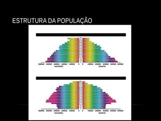 ESTRUTURA DA POPULAÇÃO
 