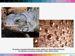 Os pontos, enquanto elementos visuais, podem ser observados facilmente 
na natureza e no mundo construído. Fotos: Garcia Junior. 
 