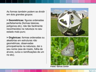 As formas também podem se dividir 
em dois grandes grupos: 
> Geométricas: figuras ordenadas 
perfeitamente (formas básicas, 
polígonos etc), não tão facilmente 
reconhecidos na natureza no seu 
estado mais puro; 
> Orgânicas: formas ordenadas ou 
aleatórias em estruturas não 
geométricas, observadas 
principalmente na natureza, daí o 
seu nome (asa de inseto, folha de 
árvore, curso e ramificações de um 
rio etc). 
Fotos: Garcia Junior 
 