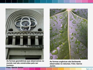 As formas geométricas que observamos no 
mundo real são construídas pelo ser 
humano. 
Foto: Garcia Junior. 
As formas orgânicas são facilmente 
observadas na natureza. Foto: Garcia 
Junior. 
 