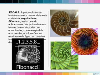 ESCALA: A proporção áurea 
também aparece na mundialmente 
conhecida sequência de 
Fibonacci, assim quando 
aplicamos os dois juntos diversas 
formas do mundo podem ser 
encontradas, como a espiral de 
uma concha, nos furacões, no 
movimento da água, em quadros 
famosos e até mesmo no formato 
das galáxias 
 