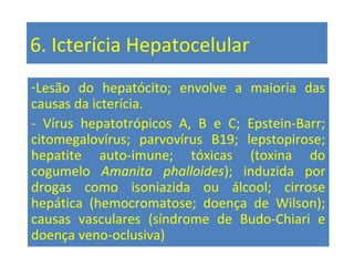 6. Icterícia Hepatocelular
-Lesão do hepatócito; envolve a maioria das
causas da icterícia.
- Vírus hepatotrópicos A, B e C; Epstein-Barr;
citomegalovírus; parvovírus B19; lepstopirose;
hepatite auto-imune; tóxicas (toxina do
cogumelo Amanita phalloides); induzida por
drogas como isoniazida ou álcool; cirrose
hepática (hemocromatose; doença de Wilson);
causas vasculares (síndrome de Budo-Chiari e
doença veno-oclusiva)
 