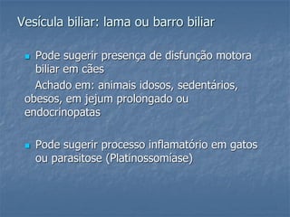  Pode sugerir presença de disfunção motora
biliar em cães
Achado em: animais idosos, sedentários,
obesos, em jejum prolongado ou
endocrinopatas
 Pode sugerir processo inflamatório em gatos
ou parasitose (Platinossomíase)
Vesícula biliar: lama ou barro biliar
 