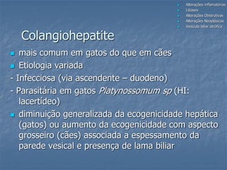 Colangiohepatite
 mais comum em gatos do que em cães
 Etiologia variada
- Infecciosa (via ascendente – duodeno)
- Parasitária em gatos Platynossomum sp (HI:
lacertídeo)
 diminuição generalizada da ecogenicidade hepática
(gatos) ou aumento da ecogenicidade com aspecto
grosseiro (cães) associada a espessamento da
parede vesical e presença de lama biliar
 Alterações inflamatórias
 Litíases
 Alterações Obstrutivas
 Alterações Neoplásicas
 Vesícula biliar atrófica
 