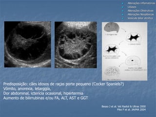  Alterações inflamatórias
 Litíases
 Alterações Obstrutivas
 Alterações Neoplásicas
 Vesícula biliar atrófica
Predisposição: cães idosos de raças porte pequeno (Cocker Spaniels?)
Vômito, anorexia, letarggia,
Dor abdominal, icterícia ocasional, hipertermia
Aumento de bilirrubinas e/ou FA, ALT, AST e GGT
Besso J et al. Vet Radiol & Ultras 2000
Pike F et al. JAVMA 2004
 
