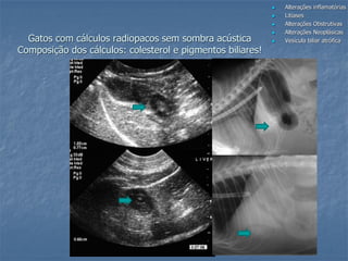 Gatos com cálculos radiopacos sem sombra acústica
Composição dos cálculos: colesterol e pigmentos biliares!
 Alterações inflamatórias
 Litíases
 Alterações Obstrutivas
 Alterações Neoplásicas
 Vesícula biliar atrófica
 