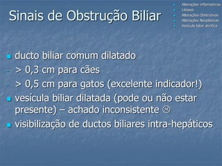Sinais de Obstrução Biliar
 ducto biliar comum dilatado
- > 0,3 cm para cães
- > 0,5 cm para gatos (excelente indicador!)
 vesícula biliar dilatada (pode ou não estar
presente) – achado inconsistente 
 visibilização de ductos biliares intra-hepáticos
 Alterações inflamatórias
 Litíases
 Alterações Obstrutivas
 Alterações Neoplásicas
 Vesícula biliar atrófica
 