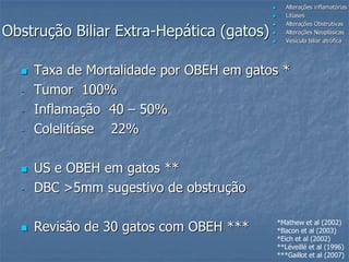  Alterações inflamatórias
 Litíases
 Alterações Obstrutivas
 Alterações Neoplásicas
 Vesícula biliar atrófica
Obstrução Biliar Extra-Hepática (gatos)
 Taxa de Mortalidade por OBEH em gatos *
- Tumor 100%
- Inflamação 40 – 50%
- Colelitíase 22%
 US e OBEH em gatos **
- DBC >5mm sugestivo de obstrução
 Revisão de 30 gatos com OBEH *** *Mathew et al (2002)
*Bacon et al (2003)
*Eich et al (2002)
**Léveillé et al (1996)
***Gaillot et al (2007)
 