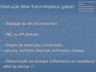  Alterações inflamatórias
 Litíases
 Alterações Obstrutivas
 Alterações Neoplásicas
 Vesícula biliar atrófica
Obstrução Biliar Extra-Hepática (gatos)
 Dilatação da VB (inconsistente)
 DBC ou DH dilatado
 Origem da obstrução/ compressão:
- calculos, aumento pâncreas, linfonodos, massas
 Diferenciação da etiologia (inflamatória ou neoplásica)
difícil de afirmar 
 