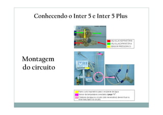 Montagem
do circuito
Conhecendo o Inter 5 e Inter 5 Plus
 