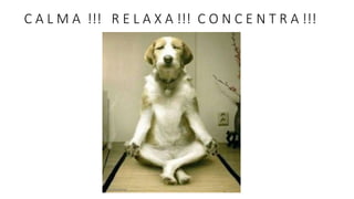 C A L M A !!! R E L A X A !!! C O N C E N T R A !!!
 