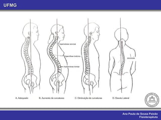 Ana Paula de Sousa Paixão Fisioterapêuta UFMG 