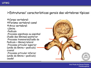 Ana Paula de Sousa Paixão Fisioterapêuta UFMG Estruturas/ características gerais das vértebras típicas: Corpo vertebral: Forame vertebral-canal Arco vertebral : -Lâmina -Pedículo -Processo espinhoso ou espinhal (fusão das lâminas)-posterior -Processo transverso(fusão do  Pedículo + lâmina)-lateral -Processo articular superior (união da lâmina + pedículo) cranial -Processo articular inferior (união da lâmina + pedículo) caudal 