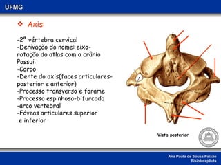 Ana Paula de Sousa Paixão Fisioterapêuta UFMG Axis: 2ª vértebra cervical Derivação do nome: eixo- rotação do atlas com o crânio Possui: -Corpo -Dente do axis(faces articulares- posterior e anterior) -Processo transverso e forame -Processo espinhoso-bifurcado -arco vertebral Fóveas articulares superior e inferior Vista posterior 
