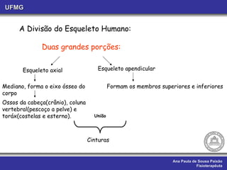 Ana Paula de Sousa Paixão Fisioterapêuta UFMG A Divisão do Esqueleto Humano: Duas grandes porções: Esqueleto axial  Esqueleto apendicular Mediano, forma o eixo ósseo do corpo Ossos da cabeça(crânio), coluna vertebral(pescoço a pelve) e toráx(costelas e esterno). Formam os membros superiores e inferiores União Cinturas 