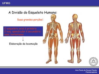 Ana Paula de Sousa Paixão Fisioterapêuta UFMG A Divisão do Esqueleto Humano: Duas grandes porções : O esqueleto axial é primário O esq. apendicular é secundário:  asas, barbatanas Elaboração da locomoção 