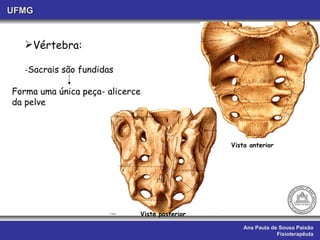 Ana Paula de Sousa Paixão Fisioterapêuta UFMG Vértebra: - Sacrais são fundidas Forma uma única peça- alicerce da pelve Vista anterior Vista posterior 