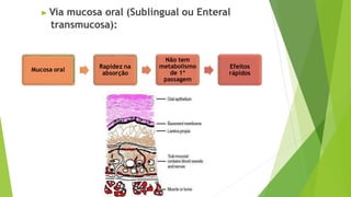 ▶ Via mucosa oral (Sublingual ou Enteral
transmucosa):
Mucosa oral
Rapidez na
absorção
Não tem
metabolismo
de 1ª
passagem
Efeitos
rápidos
 