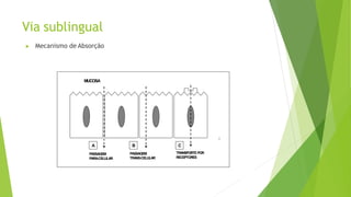 Via sublingual
▶ Mecanismo de Absorção
MUCOSA
A
PASSAGEM
PARA-CELULAR
B
PASSAGEM
TRANS-CELULAR
C
TRANSPORTEPOR
RECEPTORES
 