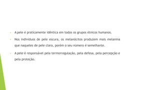 • A pele é praticamente idêntica em todos os grupos étnicos humanos.
• Nos indivíduos de pele escura, os melanócitos produzem mais melanina
que naqueles de pele clara, porém o seu número é semelhante.
• A pele é responsável pela termorregulação, pela defesa, pela percepção e
pela proteção.
 