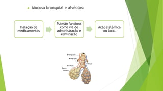 ▶ Mucosa bronquial e alvéolos:
Inalação de
medicamentos
Pulmão funciona
como via de
administração e
eliminação
Ação sistêmica
ou local
 