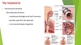 Via Inalatória
▶ Via Pulmonar/Alveolar
▶ Boa absorção alveolar:
▶ membranas biológicas de fácil travessia
▶ grande superfície de absorção
▶ rica vascularização sanguínea
 