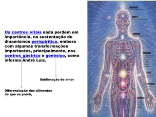 Os centros_vitais nada perdem em
importância, na sustentação do
dinamismos perispirítico, embora
com algumas transformações
importantes, principalmente, nos
centros_gástrico e genésico, como
informa André Luiz.
Sublimação do amor
Diferenciação dos alimentos
de que se provê,
 