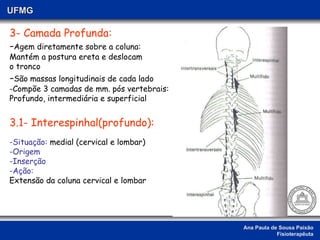 Ana Paula de Sousa Paixão Fisioterapêuta UFMG 3- Camada Profunda:  - Agem diretamente sobre a coluna: Mantém a postura ereta e deslocam  o tronco - São massas longitudinais de cada lado -Compõe 3 camadas de mm. pós vertebrais: Profundo, intermediária e superficial 3.1- Interespinhal(profundo): -Situação:  medial (cervical e lombar) -Origem -Inserção -Ação:   Extensão da coluna cervical e lombar 