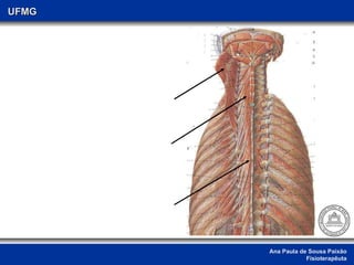 Ana Paula de Sousa Paixão Fisioterapêuta UFMG 