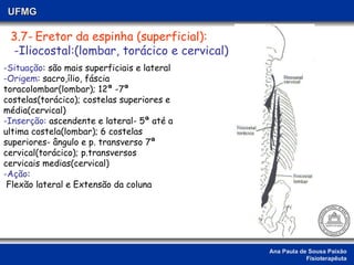 Ana Paula de Sousa Paixão Fisioterapêuta UFMG 3.7-   Eretor da espinha (superficial): -Iliocostal:(lombar, torácico e cervical) -Situação : são mais superficiais e lateral -Origem : sacro,ílio, fáscia toracolombar(lombar); 12ª -7ª costelas(torácico); costelas superiores e média(cervical) -Inserção:  ascendente e lateral- 5ª até a ultima costela(lombar); 6 costelas superiores- ângulo e p. transverso 7ª cervical(torácico); p.transversos cervicais medias(cervical)  -Ação :  Flexão lateral e Extensão da coluna  