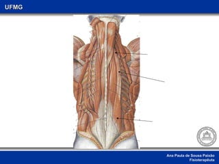 Ana Paula de Sousa Paixão Fisioterapêuta UFMG 