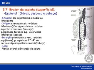 Ana Paula de Sousa Paixão Fisioterapêuta UFMG 3.7-   Eretor da espinha (superficial): -Espinhal : (tórax, pescoço e cabeça) -Situação : são superficiais e medial ao longuíssimo  -Origem: p. transversais torácicos inferiores(tórax);p.espinhoso torácico superior e cervicais.(pescoço); p.espinhoso torácico sup.  e cervicais inferiores (cabeça) -Inserção: p.transverso vert. torácica sup.(tórax); p. espinhoso 2ª -4ª vert. cervicais (pescoço);linhas nucais(cabeça)  -Ação:   Flexão lateral e Extensão da coluna  