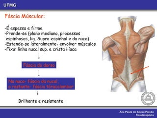 Ana Paula de Sousa Paixão Fisioterapêuta UFMG Fáscia Múscular: -É espessa e firme -Prende-se (plano mediano, processos espinhosos, lig. Supra-espinhal e da nuca) -Estende-se lateralmente- envolver músculos -Fixa: linha nucal sup. e crista ilíaca Fáscia do dorso Na nuca- fáscia da nucal, o restante- fáscia tóracolombar Brilhante e resistente 