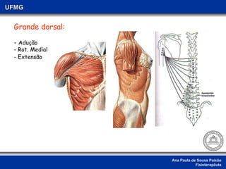 Ana Paula de Sousa Paixão Fisioterapêuta UFMG Grande dorsal: -  Adução - Rot. Medial - Extensão  