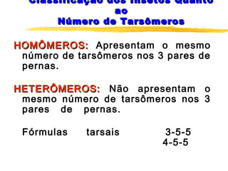 Classificação dos Insetos QuantoClassificação dos Insetos Quanto
aoao
Número de TarsômerosNúmero de Tarsômeros
HOMÔMEROS:HOMÔMEROS: Apresentam o mesmo
número de tarsômeros nos 3 pares de
pernas.
HETERÔMEROS:HETERÔMEROS: Não apresentam o
mesmo número de tarsômeros nos 3
pares de pernas.
Fórmulas tarsais 3-5-5
4-5-5
 