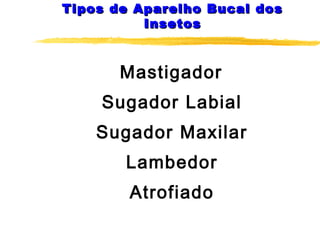 Tipos de Aparelho Bucal dosTipos de Aparelho Bucal dos
InsetosInsetos
Mastigador
Sugador Labial
Sugador Maxilar
Lambedor
Atrofiado
 