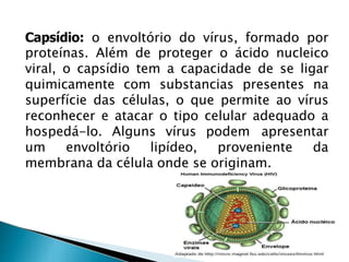 Capsídio: o envoltório do vírus, formado por
proteínas. Além de proteger o ácido nucleico
viral, o capsídio tem a capacidade de se ligar
quimicamente com substancias presentes na
superfície das células, o que permite ao vírus
reconhecer e atacar o tipo celular adequado a
hospedá-lo. Alguns vírus podem apresentar
um envoltório lipídeo, proveniente da
membrana da célula onde se originam.
 