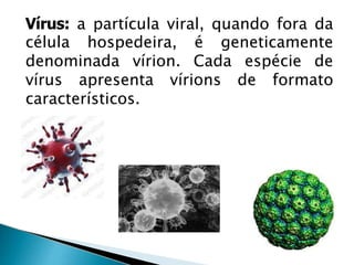 Vírus: a partícula viral, quando fora da
célula hospedeira, é geneticamente
denominada vírion. Cada espécie de
vírus apresenta vírions de formato
característicos.
 