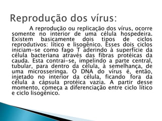 A reprodução ou replicação dos vírus, ocorre
somente no interior de uma célula hospedeira.
Existem basicamente dois tipos de ciclos
reprodutivos: lítico e lisogênico. Esses dois ciclos
iniciam-se como fago T aderindo à superfície da
célula bacteriana através das fibras protéicas da
cauda. Esta contrai-se, impelindo a parte central,
tubular, para dentro da célula, à semelhança, de
uma microsseringa. O DNA do vírus é, então,
injetado no interior da célula, ficando fora da
célula a cápsula protéica vazia. A partir desse
momento, começa a diferenciação entre ciclo lítico
e ciclo lisogênico.
 