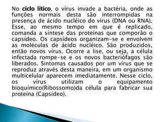 No ciclo lítico, o vírus invade a bactéria, onde as
funções normais desta são interrompidas na
presença de ácido nucléico do vírus (DNA ou RNA).
Esse, ao mesmo tempo em que é replicado,
comanda a síntese das proteínas que comporão o
capsídeo. Os capsídeos organizam-se e envolvem
as moléculas de ácido nucléico. São produzidos,
então novos vírus. Ocorre a lise, ou seja, a célula
infectada rompe-se e os novos bacteriófagos são
liberados. Sintomas causados por um vírus que se
reproduz através desta maneira, em um organismo
multicelular aparecem imediatamente. Nesse ciclo,
os vírus utilizam o equipamento
bioquímico(Ribossomo)da célula para fabricar sua
proteína (Capsídeo).
 