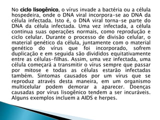 No ciclo lisogênico, o vírus invade a bactéria ou a célula
hospedeira, onde o DNA viral incorpora-se ao DNA da
célula infectada. Isto é, o DNA viral torna-se parte do
DNA da célula infectada. Uma vez infectada, a célula
continua suas operações normais, como reprodução e
ciclo celular. Durante o processo de divisão celular, o
material genético da célula, juntamente com o material
genético do vírus que foi incorporado, sofrem
duplicação e em seguida são divididos equitativamente
entre as células-filhas. Assim, uma vez infectada, uma
célula começará a transmitir o vírus sempre que passar
por mitose e todas as células estarão infectadas
também. Sintomas causados por um vírus que se
reproduz através desta maneira, em um organismo
multicelular podem demorar a aparecer. Doenças
causadas por vírus lisogênico tendem a ser incuráveis.
Alguns exemplos incluem a AIDS e herpes.
 