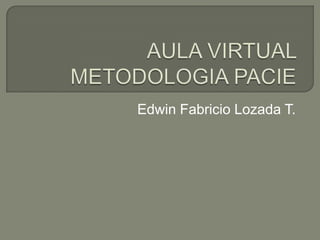 Edwin Fabricio Lozada T.
 