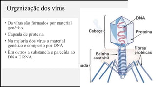 BANCO
WOODGROVE
• Os vírus são formados por material
genético.
• Capsula de proteína
• Na maioria dos vírus o material
genético e composto por DNA
• Em outros a substancia e parecida ao
DNA E RNA
4
Organização dos vírus
 