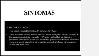 SINTOMAS
SINDROMES CLÍNICOS:
• Fase inicial: (Sinais Inespecíficos) • Duração: 2 a 10 dias
• Febre moderada, cefaléia, tontura, sensação de mal estar geral, Náuseas, anorexia •
Dor na garganta, disfagia, rouquidão => Pela dor e dificuldade em deglutir o
paciente se torna ansioso e com sede, iniciando o quadro de desidratação, no entanto
recusa-se a engolir sua própria saliva que fica sobrando e babando na boca, assim
desidratando ainda mais.
 