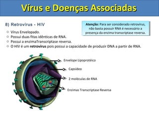 Vírus e Doenças AssociadasVírus e Doenças Associadas
8) Retrovírus - HIV
o Vírus Envelopado.
o Possui duas fitas idênticas de RNA.
o Possui a enzimaTranscriptase reversa.
o O HIV é um retrovírus pois possui a capacidade de produzir DNA a partir de RNA.
Envelope Lipoprotéico
Capsídeo
2 moléculas de RNA
Enzimas Transcriptase Reversa
Atenção: Para ser considerado retrovírus,
não basta possuir RNA é necessário a
presença da enzima transcriptase reversa.
Atenção: Para ser considerado retrovírus,
não basta possuir RNA é necessário a
presença da enzima transcriptase reversa.
 