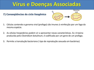 Vírus e Doenças Associadas
7) Conseqüências do ciclo lisogênico
1. Células contendo o genoma viral (profago) são imunes à reinfecção por um fago da
mesma espécie.
2. As células hospedeiras podem vir a apresentar novas características. Ex: A toxina
produzida pelo Clostridium botulinum, é codificada por um gene de um profago.
3. Permite a transdução bacteriana ( tipo de reprodução sexuada em bactérias)
Genoma
viral
 