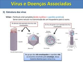 Vírus e Doenças Associadas
3) Estrutura dos vírus
Vírion = Partícula viral completa (ácido nucléico + capsídeo protéico).
Serve como veículo na transmissão de um hospedeiro para o outro.
Existem vírus de diferentes formas geométricas
(helicoidais, poliédricos, icosaédricos,
cilíndricos...)
Podemos classificar os vírus em dois grandes
grupos: o grupo dos vírus Envelopados e o dos
não Envelopados.
No grupo dos vírus envelopados o capsídeo é
coberto pelo envelope que é formado quando o
vírus é exocitado da célula hospedeira.
Dessa maneira, o envelope é formado por uma
porção da membrana citoplasmática da célula
hospedeira.
No grupo dos não envelopados o capsídeo não
se encontra envolvido pelo envelope, dessa
maneira dizemos que o vírus é nu.
O vírus da gripe é um exemplo de vírus
envelopado.
Os demais são exemplos de vírus não
envelopados.
 