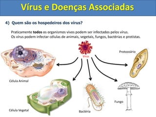 Vírus e Doenças Associadas
4) Quem são os hospedeiros dos vírus?
Praticamente todos os organismos vivos podem ser infectados pelos vírus.
Os vírus podem infectar células de animais, vegetais, fungos, bactérias e protistas.
Célula Animal
Célula Vegetal Bactéria
Fungo
Protozoário
Vírus
 