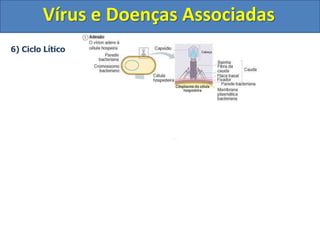 6) Ciclo Lítico
Vírus e Doenças Associadas
 